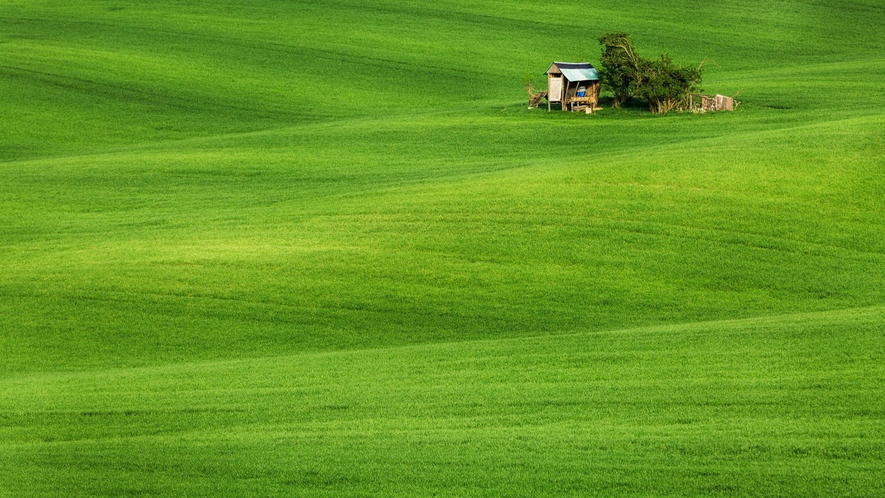Image of Landscape